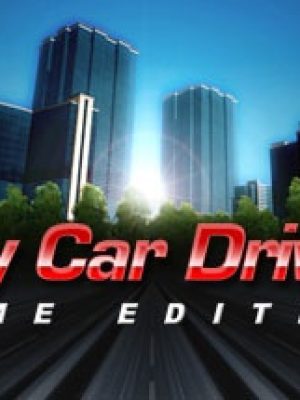 City Car Driving CD Key