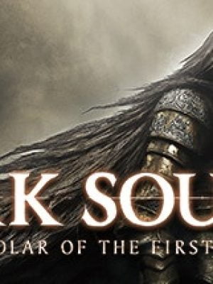 Buy Dark Souls 2 Scholar Of The First Sin CD Key Compare Prices