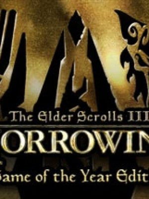 Buy The Elder Scrolls 3 Morrowind CD Key Compare Prices