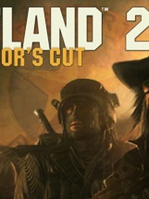Buy Wasteland 2 Directors Cut CD Key Compare Prices