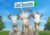 Buy Goat Simulator 3 CD Key Compare Prices