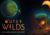 Buy Outer Wilds Archaeologist Edition CD Key Compare Prices